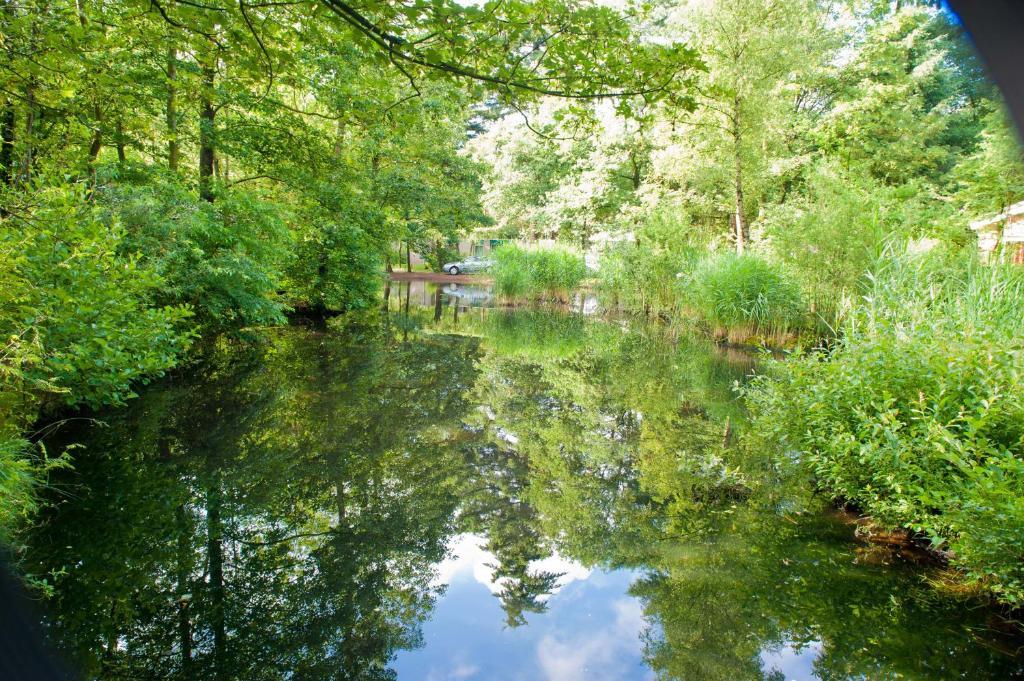 Vakantiepark De Berkenhorst Kootwijk Luaran gambar